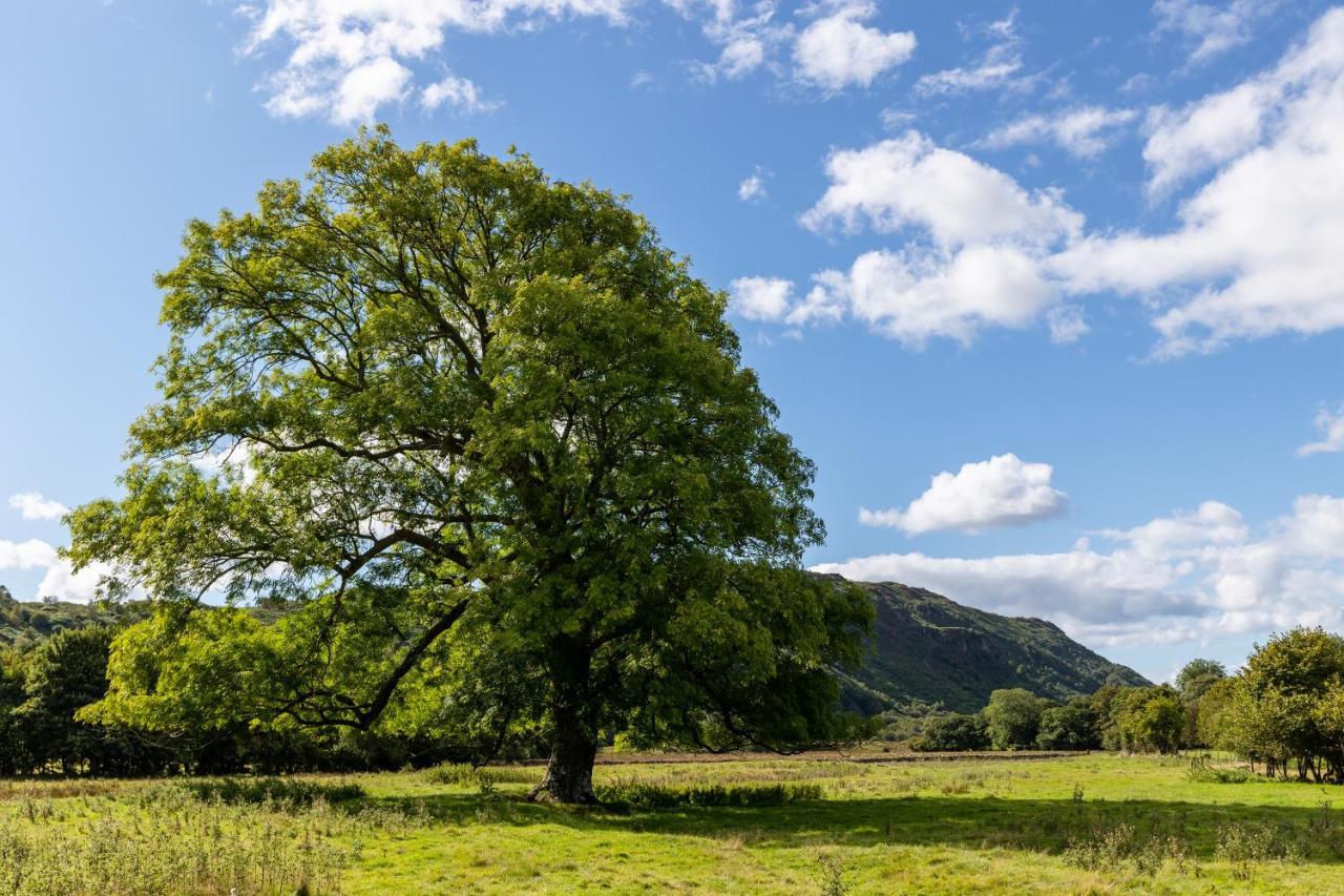 Bower House Inn Eskdale Kültér fotó